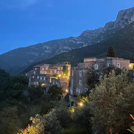 Holiday home Oliveto Medieval Setting