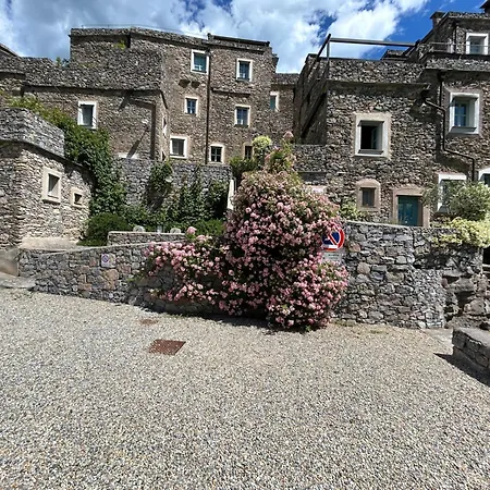 Oliveto Stunning With Private Garden 度假居 *